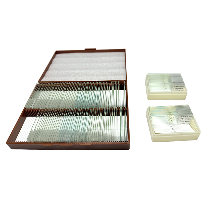 Microscoopglaasje biologie-educatiepakket, biologie natuur