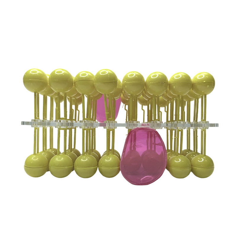 Celmembraanstructuur anatomiemodel stroommozaïekcomponent biologisch onderwijs demonstratieapparatuur wetenschap