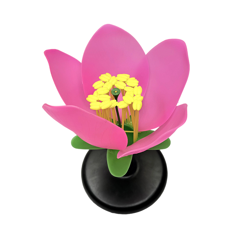 Anatomisch model voor schoolonderwijs perzikbloesem bloemmodel