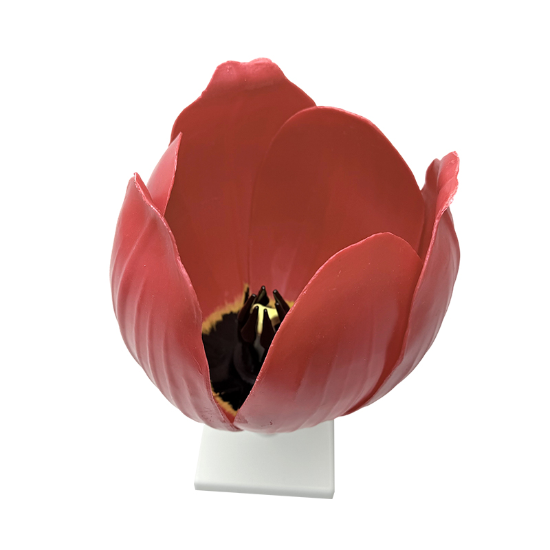 Schoolonderwijs yujin geurig bloemmodel
