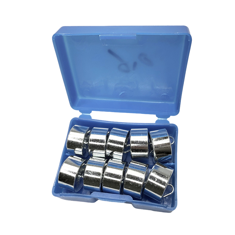 Educatieve haakgewichtset 50gx10PCS/school natuurkunde laboratorium instrument wetenschappelijk experiment en lespakket