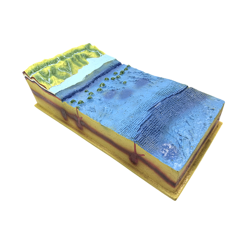 Onderwater zeebodemmodel
