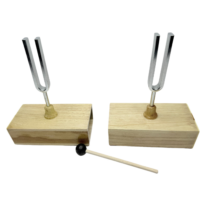 Resonantie stemvork / natuurkundig laboratoriuminstrumenten (440 Hz)